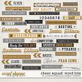 Cheer Squad Word Bits by Meagan's Creations and Connection Keeping