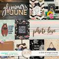 Captured Glimmers: A Click of Magic {cards} by Sweet Doll designs