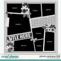 Cindy's Layered Templates - Photo Palooza 545 by Cindy Schneider