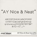 AY Nice and Neat font {PU} by Amanda Yi