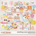Catching Rays Ephemera by Becca Bonneville
