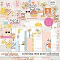 Catching Rays Print Collection by Becca Bonneville