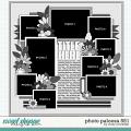 Cindy's Layered Templates - Photo Palooza 551 by Cindy Schneider Cindy's Layered Templates - Photo Palooza 551 by Cindy Schneider