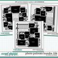 Cindy's Layered Templates - Photo Palooza Bundle 184 by Cindy Schneider