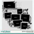 Cindy's Layered Templates - Photo Palooza 557 by Cindy Schneider