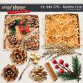 CU Mix 339 - festive mix by WendyP Designs