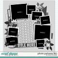 Cindy's Layered Templates - Photo Palooza 581 by Cindy Schneider