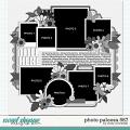 Cindy's Layered Templates - Photo Palooza 587 by Cindy Schneider