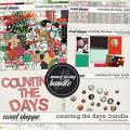 Counting The Days Bundle by Pink Reptile Designs