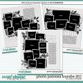 Cindy's Layered Templates - Photo Palooza Bundle 201 by Cindy Schneider