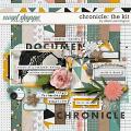 Chronicle: The Kit by Allison Pennington
