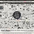 Black & White Monthly Stamps and BRUSHES Collection (all released in 2025) by Connection Keeping