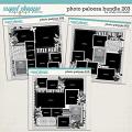 Cindy's Layered Templates - Photo Palooza Bundle 203 by Cindy Schneider