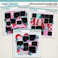 Cindy's Layered Templates - Photo Palooza Bundle 204 by Cindy Schneider Cindy's Layered Templates - Photo Palooza Bundle 204 by Cindy Schneider