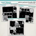 Cindy's Layered Templates - Photo Palooza Bundle 205 by Cindy Schneider