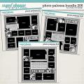 Cindy's Layered Templates - Photo Palooza Bundle 206 by Cindy Schneider