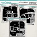 Cindy's Layered Templates - Photo Palooza Bundle 208 by Cindy Schneider