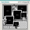 Cindy's Layered Templates - Photo Palooza 627 by Cindy Schneider