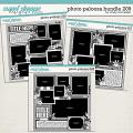 Cindy's Layered Templates - Photo Palooza Bundle 209 by Cindy Schneider