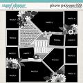 Cindy's Layered Templates - Photo Palooza 629 by Cindy Schneider