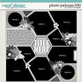 Cindy's Layered Templates - Photo Palooza 630 by Cindy Schneider