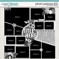 Cindy's Layered Templates - Photo Palooza 631 by Cindy Schneider