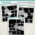 Cindy's Layered Templates - Photo Palooza Bundle 210 by Cindy Schneider Cindy's Layered Templates - Photo Palooza Bundle 210 by Cindy Schneider