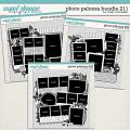 Cindy's Layered Templates - Photo Palooza Bundle 211 by Cindy Schneider