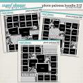 Cindy's Layered Templates - Photo Palooza Bundle 212 by Cindy Schneider