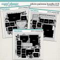 Cindy's Layered Templates - Photo Palooza Bundle 213 by Cindy Schneider