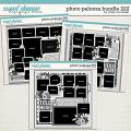 Cindy's Layered Templates - Photo Palooza Bundle 222 by Cindy Schneider