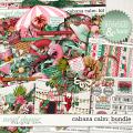 CABANA CALM | BUNDLE by The Nifty Pixel