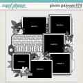 Cindy's Layered Templates - Photo Palooza 674 by Cindy Schneider
