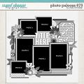 Cindy's Layered Templates - Photo Palooza 675 by Cindy Schneider Cindy's Layered Templates - Photo Palooza 675 by Cindy Schneider