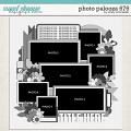 Cindy's Layered Templates - Photo Palooza 676 by Cindy Schneider