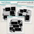 Cindy's Layered Templates - Photo Palooza Bundle 225 by Cindy Schneider