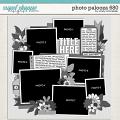 Cindy's Layered Templates - Photo Palooza 680 by Cindy Schneider