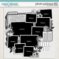 Cindy's Layered Templates - Photo Palooza 681 by Cindy Schneider