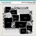 Cindy's Layered Templates - Photo Palooza 682 by Cindy Schneider