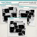 Cindy's Layered Templates - Photo Palooza Bundle 227 by Cindy Schneider