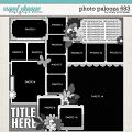 Cindy's Layered Templates - Photo Palooza 683 by Cindy Schneider Cindy's Layered Templates - Photo Palooza 683 by Cindy Schneider