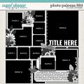 Cindy's Layered Templates - Photo Palooza 684 by Cindy Schneider