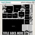 Cindy's Layered Templates - Photo Palooza 685 by Cindy Schneider