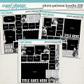 Cindy's Layered Templates - Photo Palooza Bundle 228 by Cindy Schneider