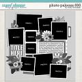 Cindy's Layered Templates - Photo Palooza 695 by Cindy Schneider