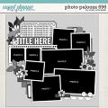 Cindy's Layered Templates - Photo Palooza 696 by Cindy Schneider