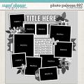 Cindy's Layered Templates - Photo Palooza 697 by Cindy Schneider
