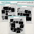 Cindy's Layered Templates - Photo Palooza Bundle 232 by Cindy Schneider Cindy's Layered Templates - Photo Palooza Bundle 232 by Cindy Schneider