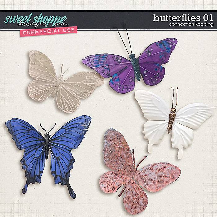 CU Butterflies 01 by Connection Keeping