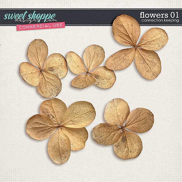CU Flowers 01 by Connection Keeping